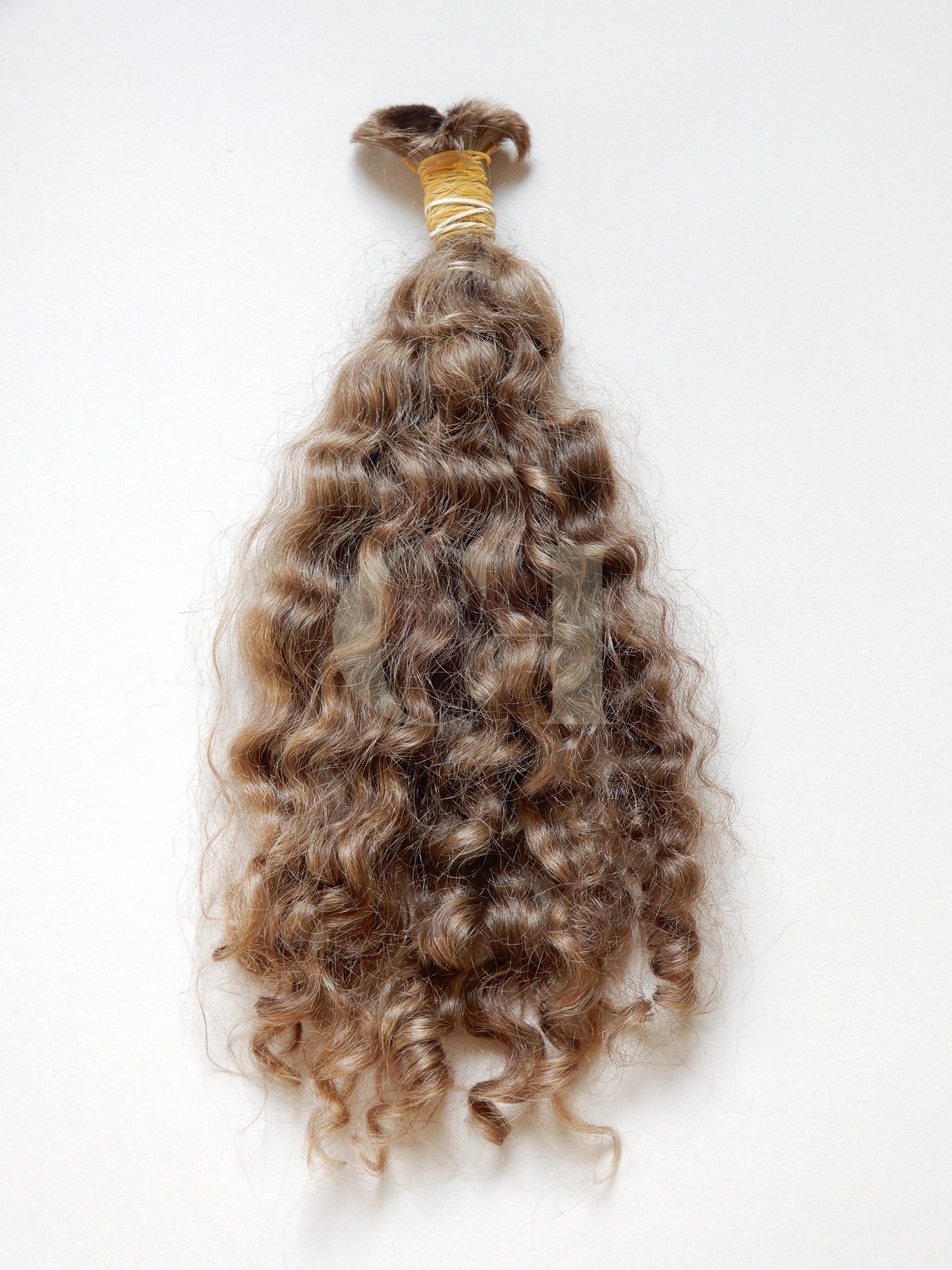 No. 10 - Oro Biondo